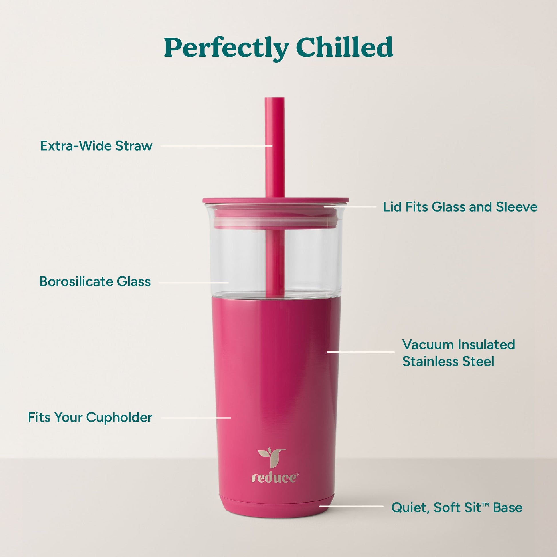 aspen-20-oz-x1 Aspen_Dragonfruit_PDP_Infographic2.jpg