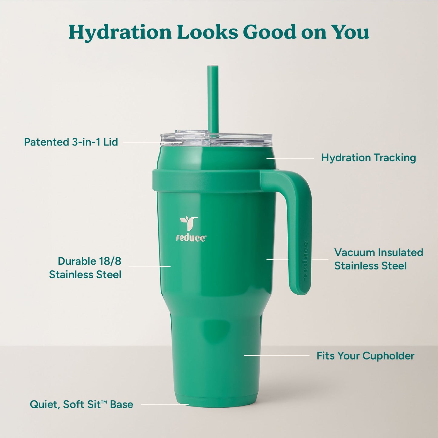 cold1-40-oz-n9 Cold1_40oz_PalmLeaf_Infographic_2.jpg