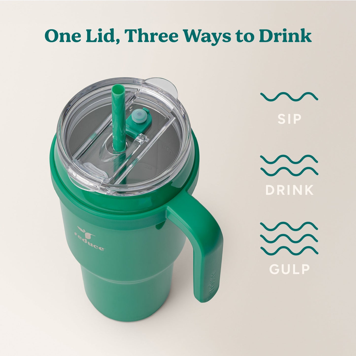 cold1-40-oz-n9 Cold1_40oz_PalmLeaf_Infographic_3.jpg