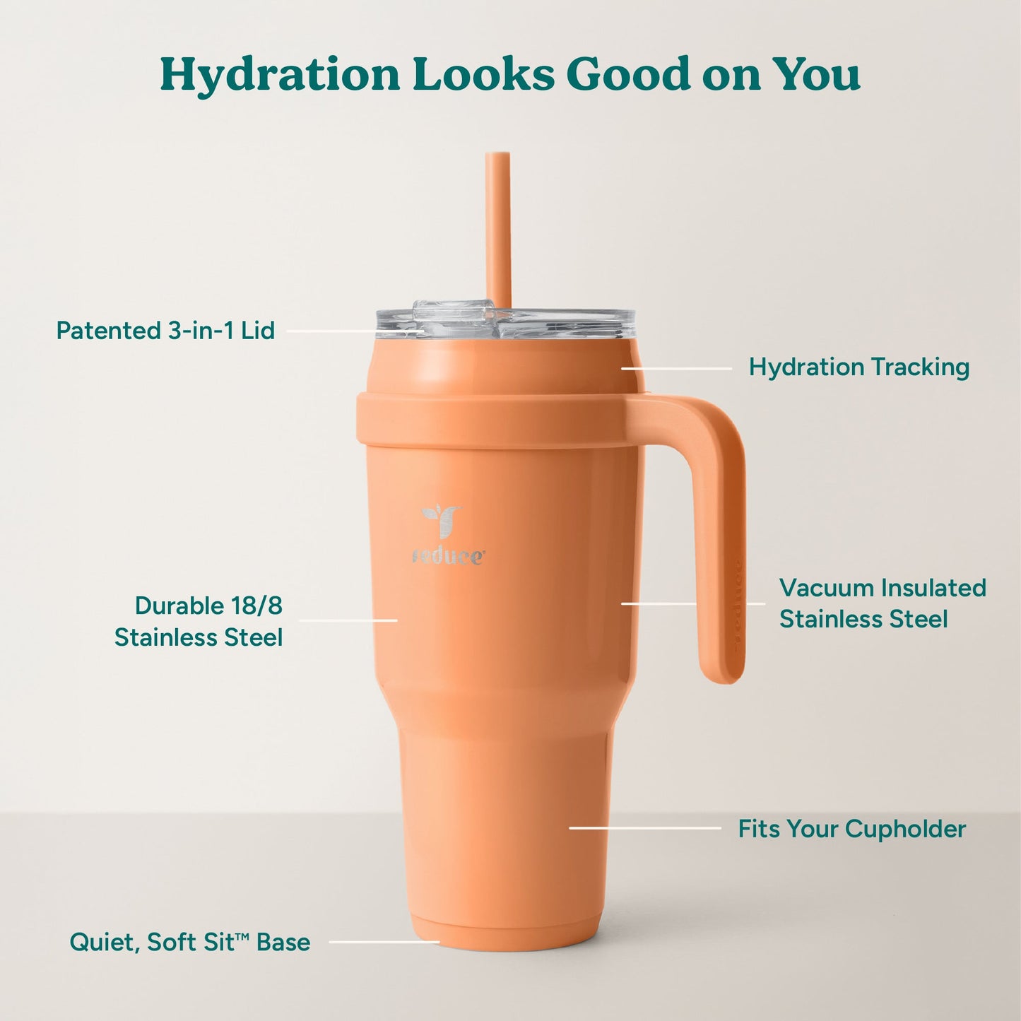 cold1-40-oz-n9 Cold1_40oz_Papaya_Infographic_2.jpg
