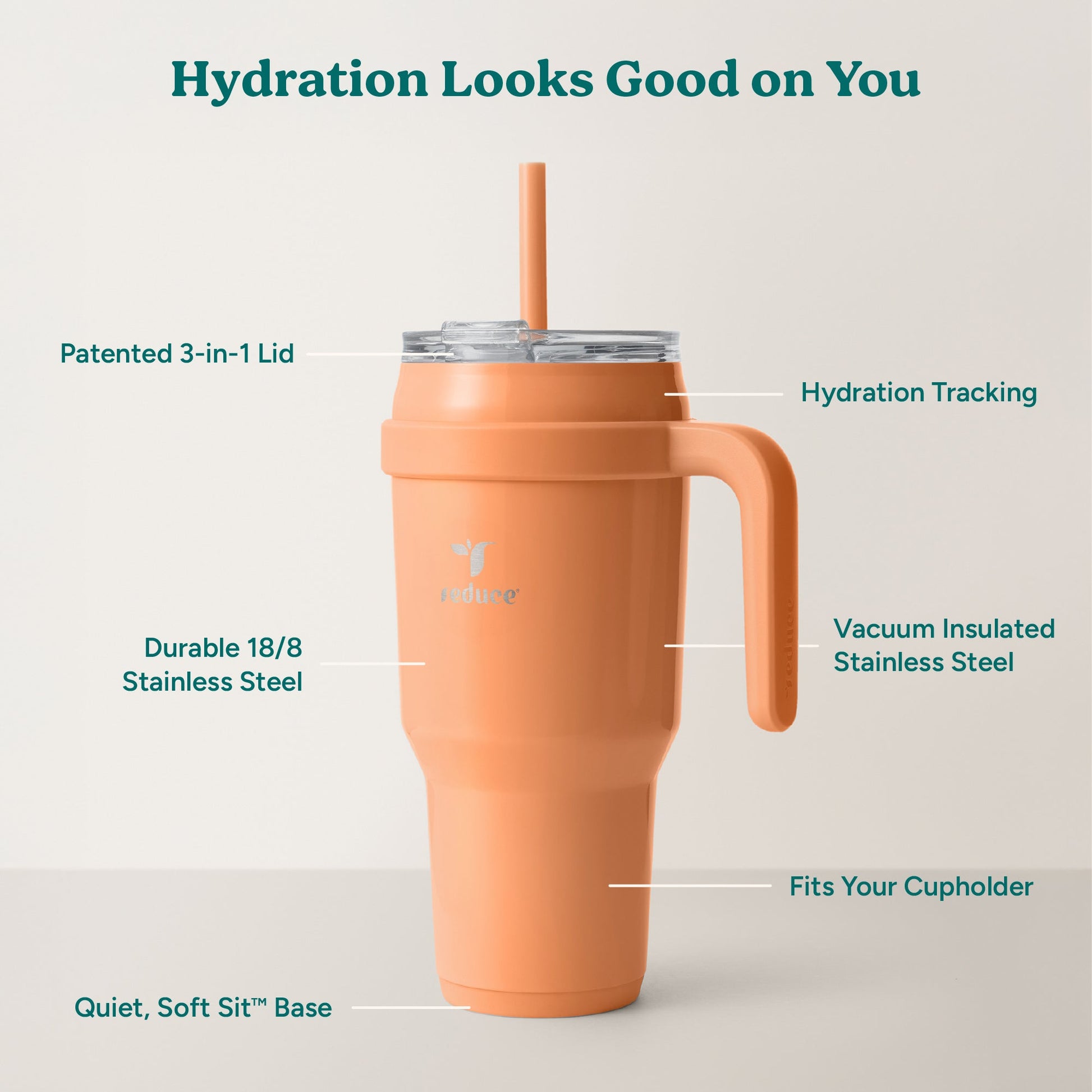 cold1-40-oz-n9 Cold1_40oz_Papaya_Infographic_2.jpg