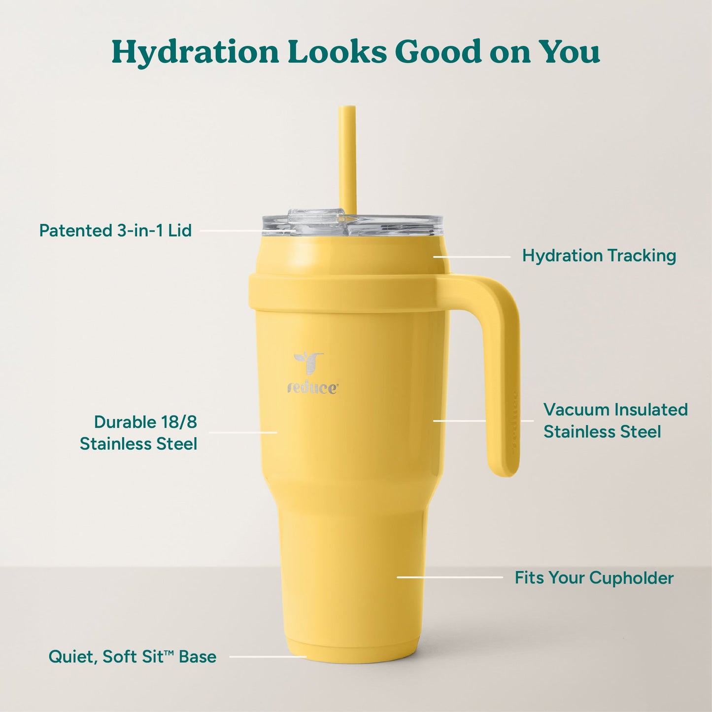 cold1-40-oz-n9 Cold1_40oz_Pineapple_Infographic_2.jpg