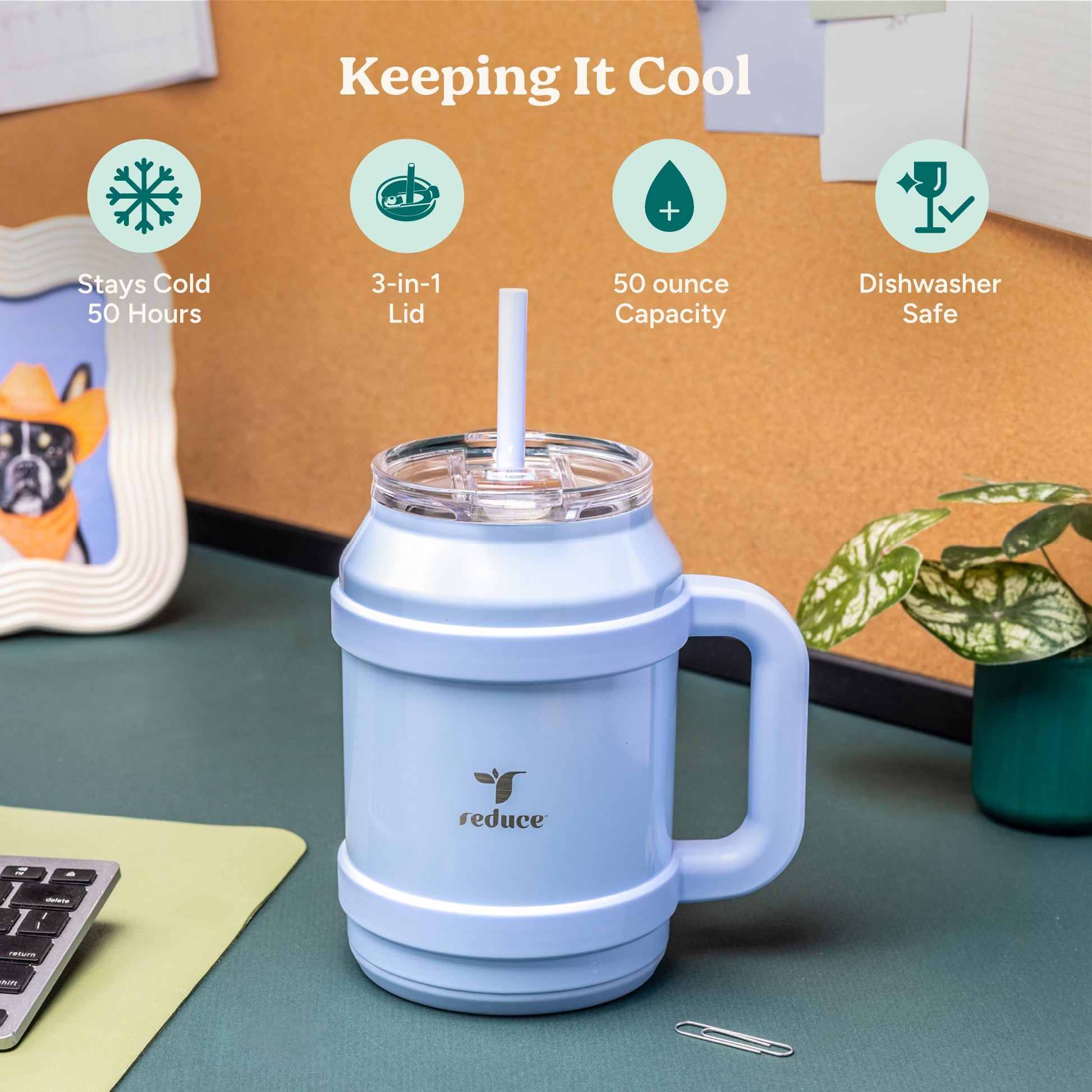 cold1-desktop-50-oz-c8 Cold1_50oz_Desktop_LilacBud_Infographic_1.jpg
