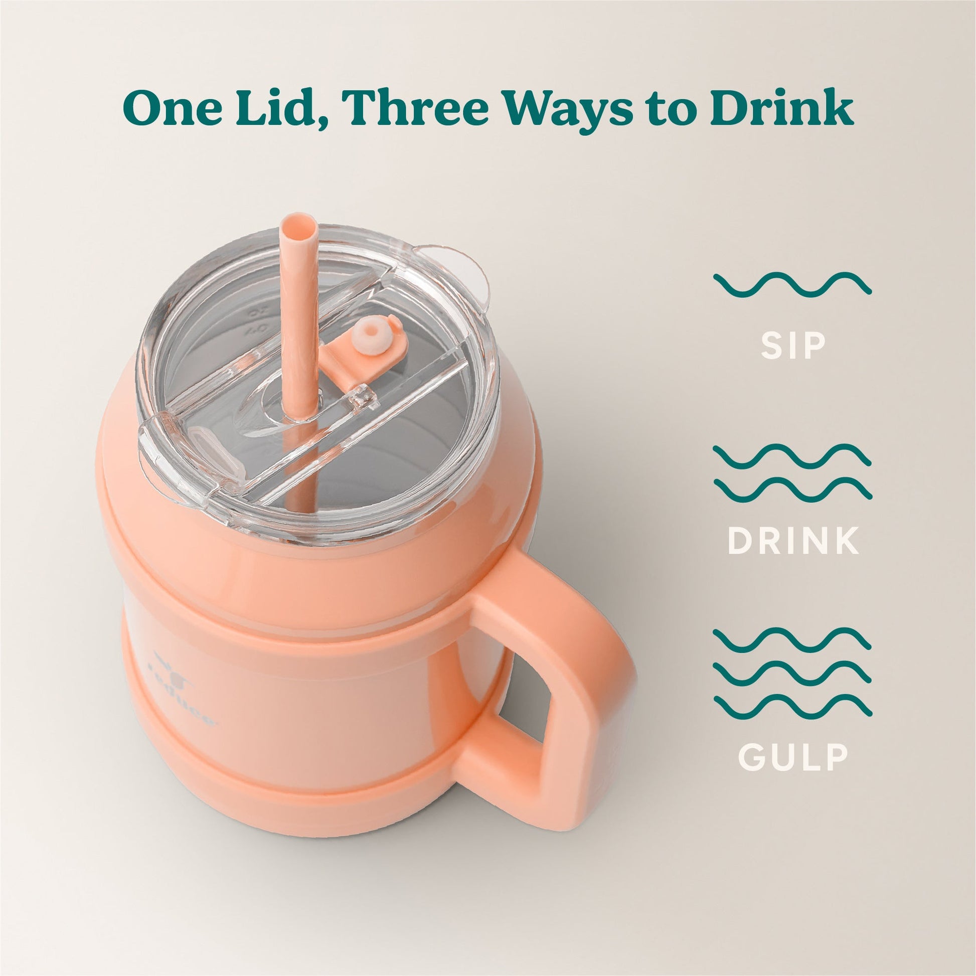 cold1-desktop-50-oz-c8 Cold1_50oz_Desktop_Sedona_Infographic_3.jpg